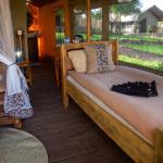 Safari Comfort Accommodation