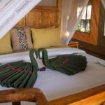 Safari Comfort Accommodation