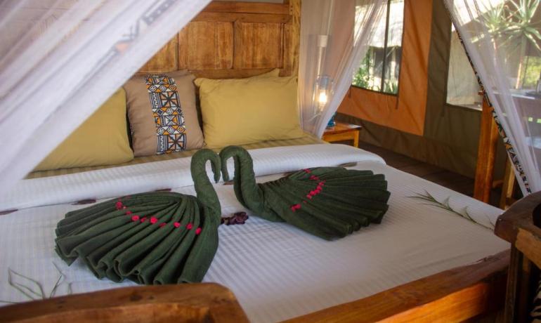 Safari Comfort Accommodation