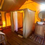 Safari Comfort Accommodation