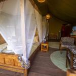 Safari Tent 2 Pers./1 Room