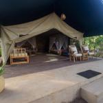 Safari Luxury Glamping Accommodation