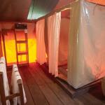 Safari Luxury Glamping Accommodation