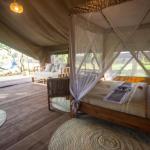Safari Luxury Glamping Accommodation
