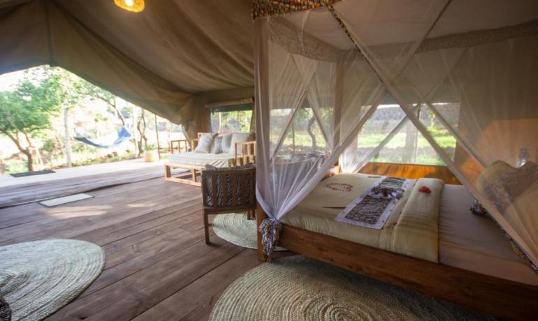 Safari Luxury Glamping Accommodation