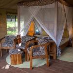 Safari Luxury Glamping Accommodation
