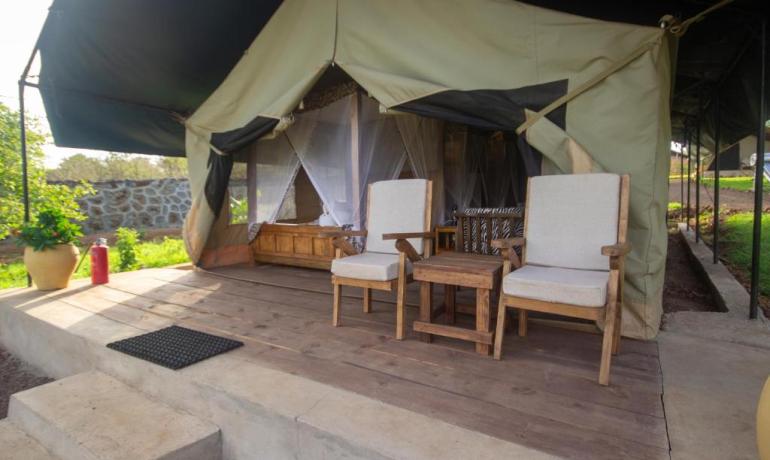 Safari Luxury Glamping Accommodation