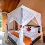 Deluxe Pool View Room