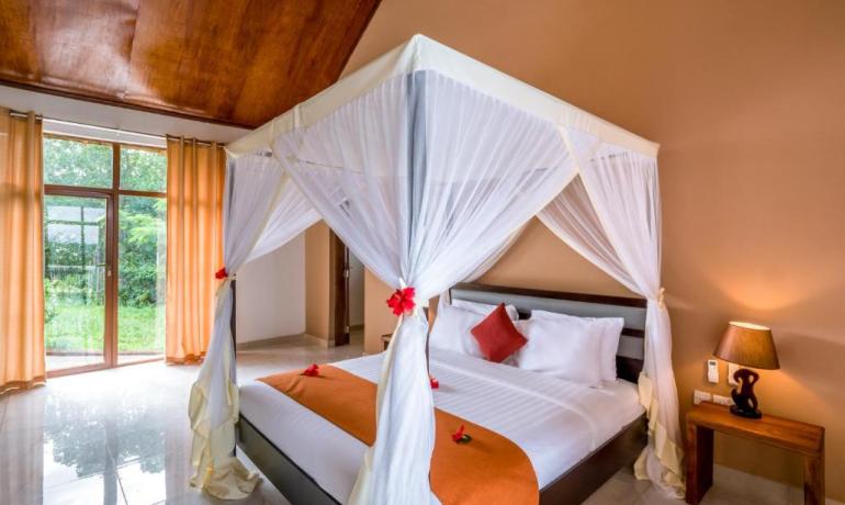 Deluxe Pool View Room