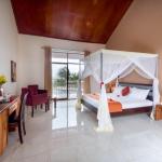 Deluxe Pool View Room