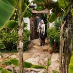 JUNGLE VILLA