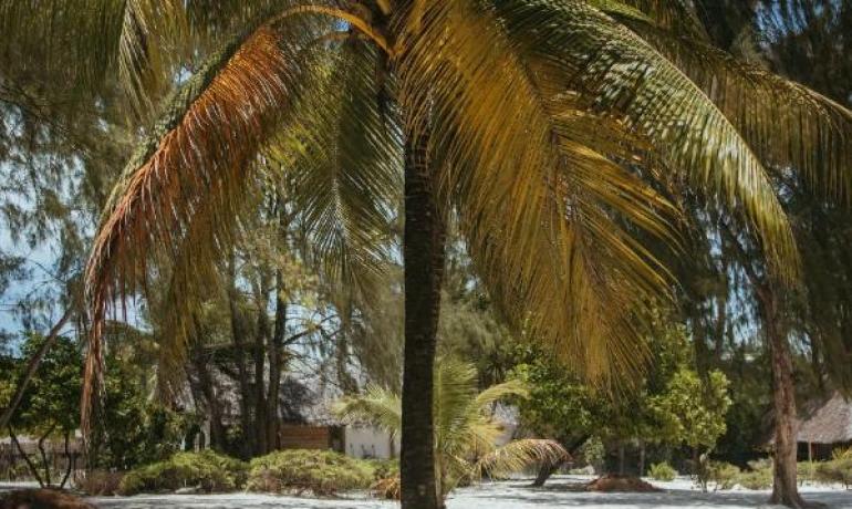 Hakuna Majiwe Beach Lodge & Spa