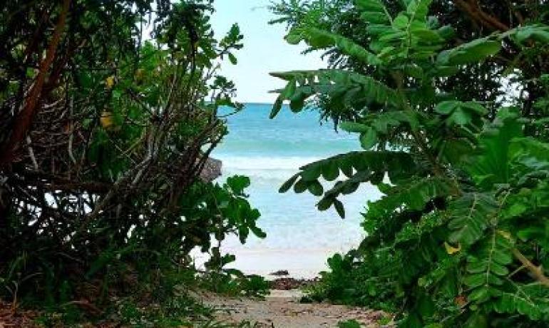 Kena Beach Hotel
