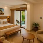 Premium Deluxe Pool View Room