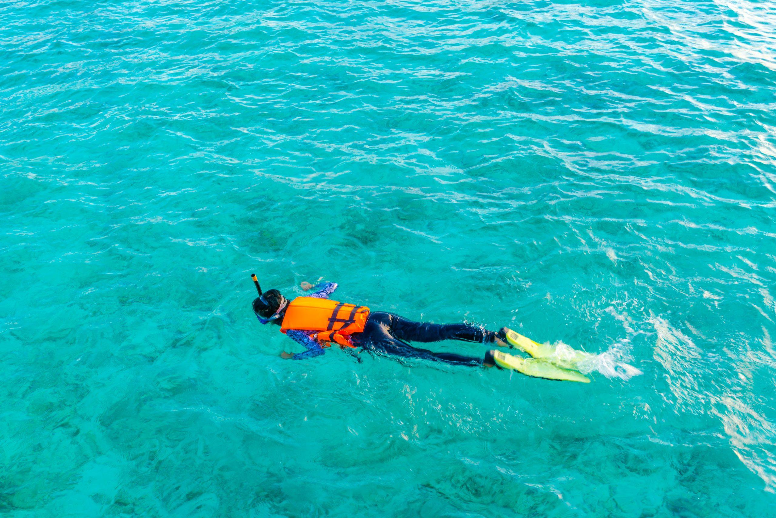 Snorkelling • Half-Day