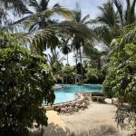One-Bedroom Villa nest resort