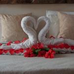 One-Bedroom Villa nest resort