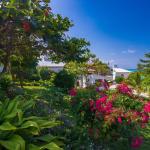 Ocean Front Bungalows